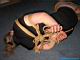 Shibari training session...